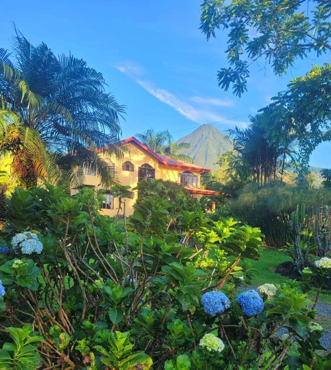 Yellow Tree Suites La Fortuna 외부 사진